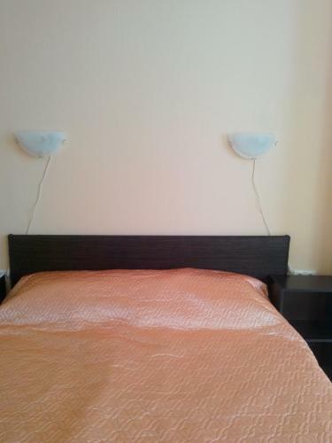 Hotel Pansionat Svetlana