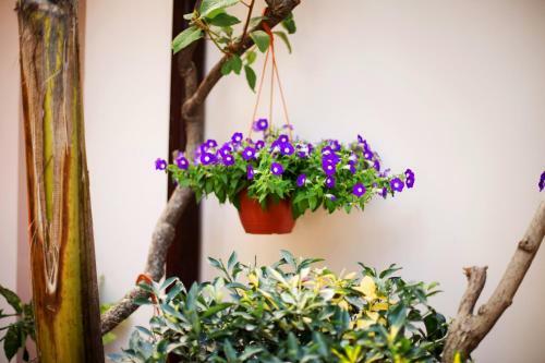 Hostal Guest House Sapfir