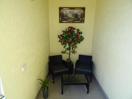 Hostal Guest House Lenina 100