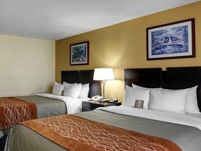 Hotel Comfort Inn Baton Rouge