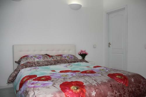 Luxury Apartments & Penthouse Central Chisinau