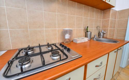 Apartamento Victoriei 1