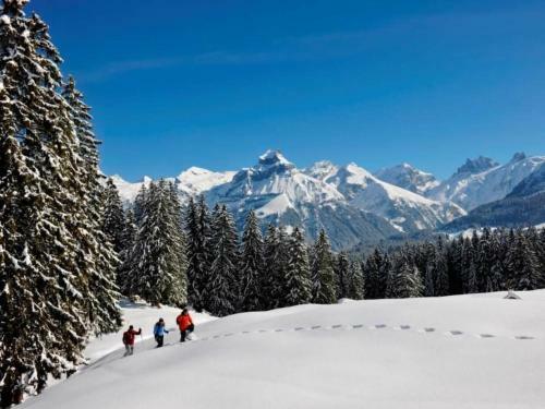 Apartment Titlis Resort Wohnung 501