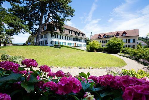 Hotel Storchen