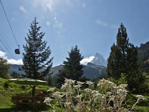 Hotel Plateau Rosa