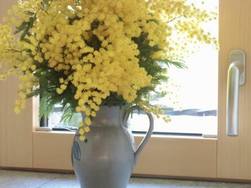 Hostal Castello Del Nucleo