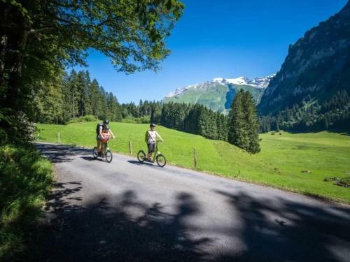 Apartment Titlis Resort Wohnung 732