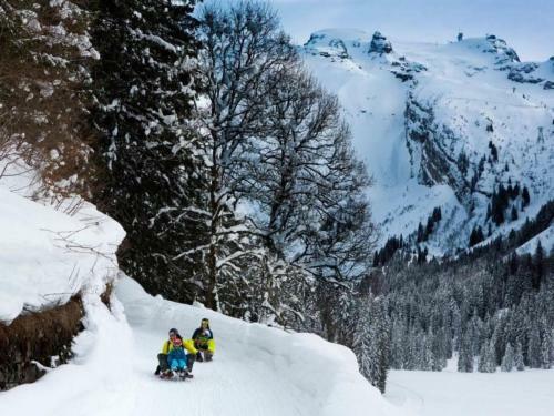Apartment Titlis Resort Wohnung 413