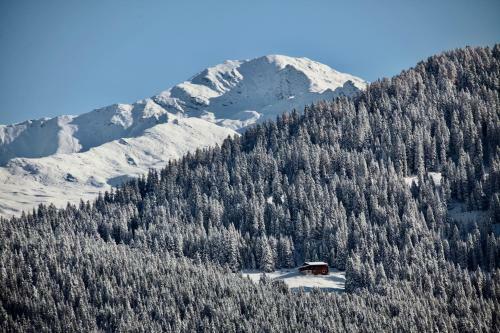 Apartment In Center Of Davos