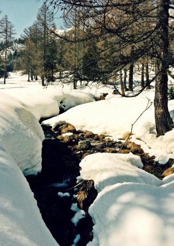 Chalet Stella Alpina - Hotel And Wellness