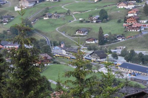Hotel Du Sauvage Grindelwald