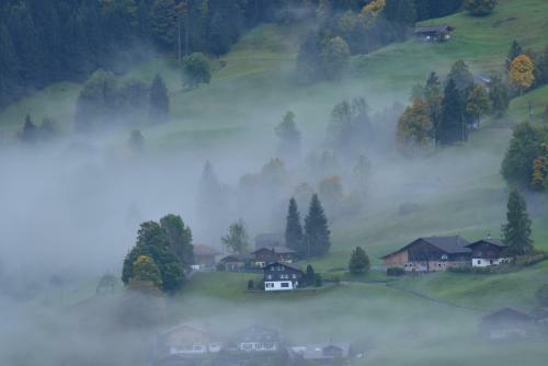 Hotel Du Sauvage Grindelwald