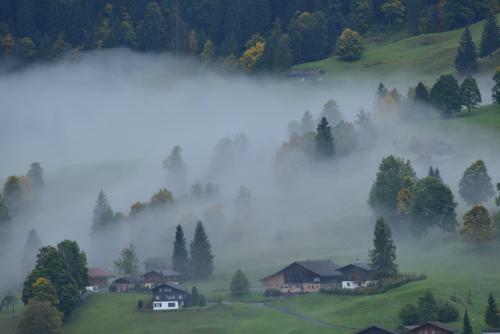 Hotel Du Sauvage Grindelwald