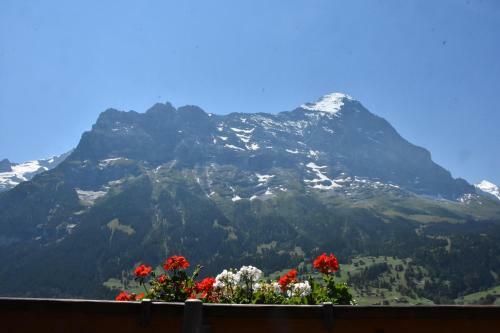 Hotel Du Sauvage Grindelwald