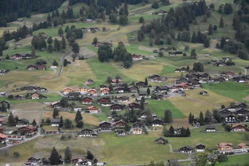 Hotel Du Sauvage Grindelwald