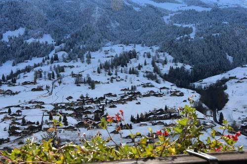 Hotel Du Sauvage Grindelwald