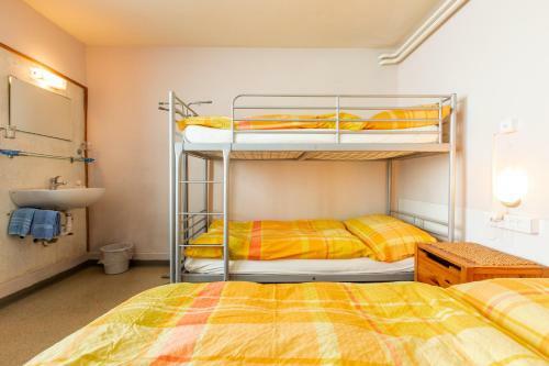 Albergue Happy Inn Lodge