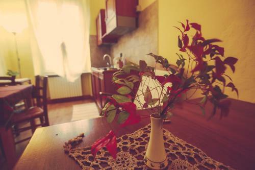 Apartamento Antica Casa Nebiolo