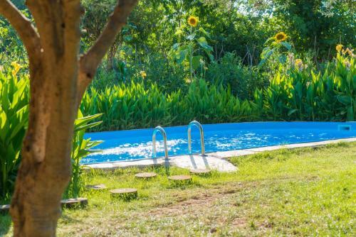 Pure Life Organic Villa