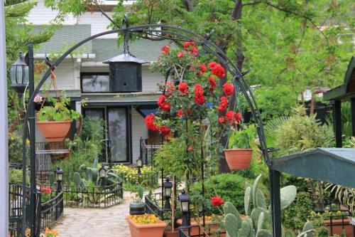 Hotel Beachwood Villas