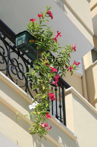 Novella Apart Hotel
