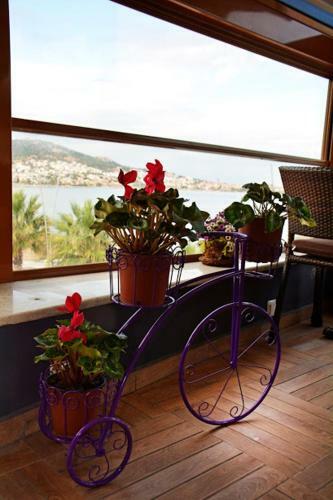 Bed & Breakfast Focamor Butik Otel