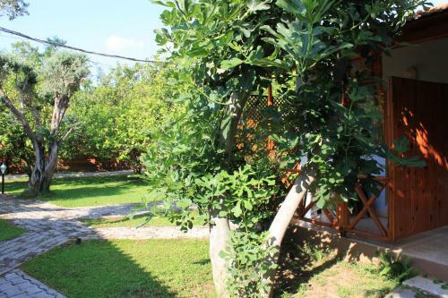 Yildiz Pension Bungalows