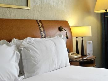 Hotel Pullman Teranga