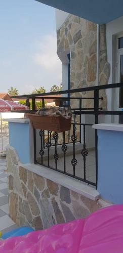 Golden Star Hotel