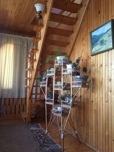 Lodge Guest House U Myrona