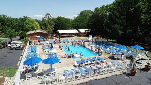 Island Club #80