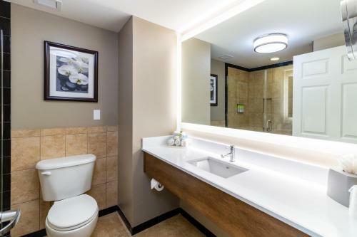 Hotel Holiday Inn Express Savannah - Historic District