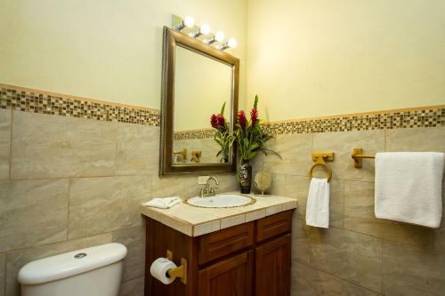 Macaw Villa