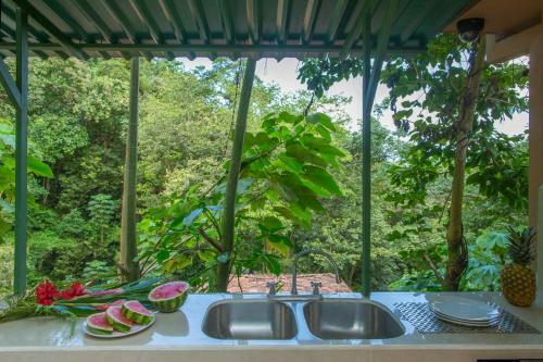 Macaw Villa