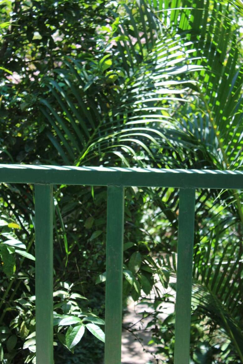 Hotel Cabinas Tortuguero