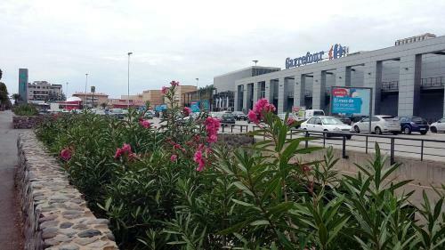 Vecindario-plaza Apartment