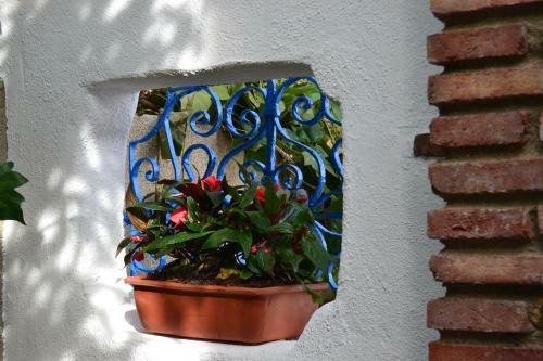 Agroturismo El Rincon De Carmen