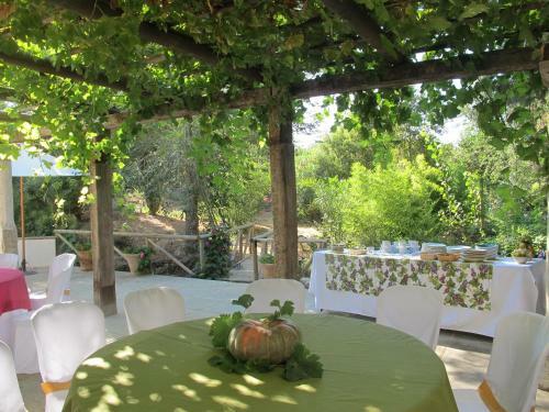 Agroturismo Casa Rural Fa�n Viejo