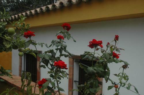 Agroturismo Casa Jazm�n