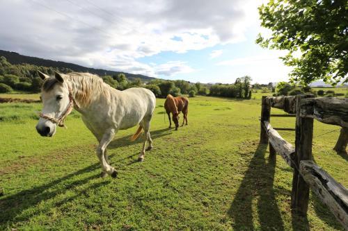 Agroturismo Casa Guillermo