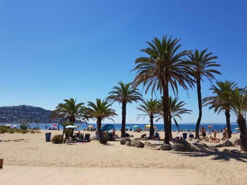 Apart-rent Apartamentos Francesc Maci�