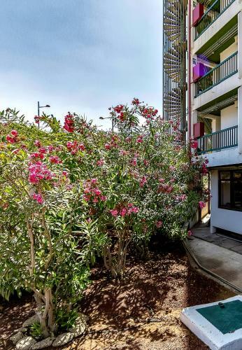 Apartamento Vi�a Del Mar Ocean