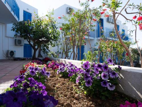 Hotel Kirki Village