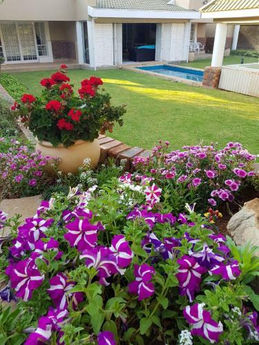 Bed & Breakfast Jolani Guest House