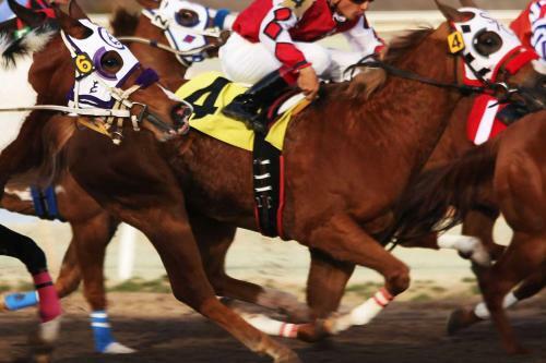 Bristol Palace Hotel