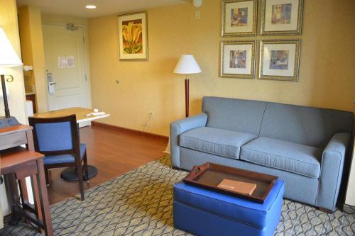 Hotel Homewood Suites By Hilton Brighton