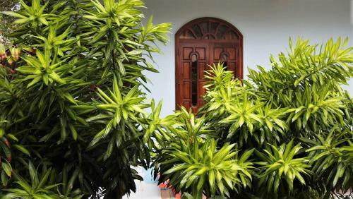 Hong Di Guesthouse