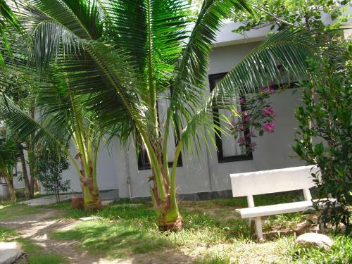 Villa Van Nguyen Minihouse