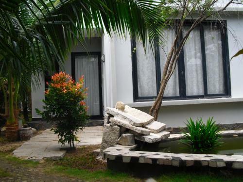 Villa Van Nguyen Minihouse