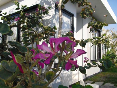 Villa Van Nguyen Minihouse